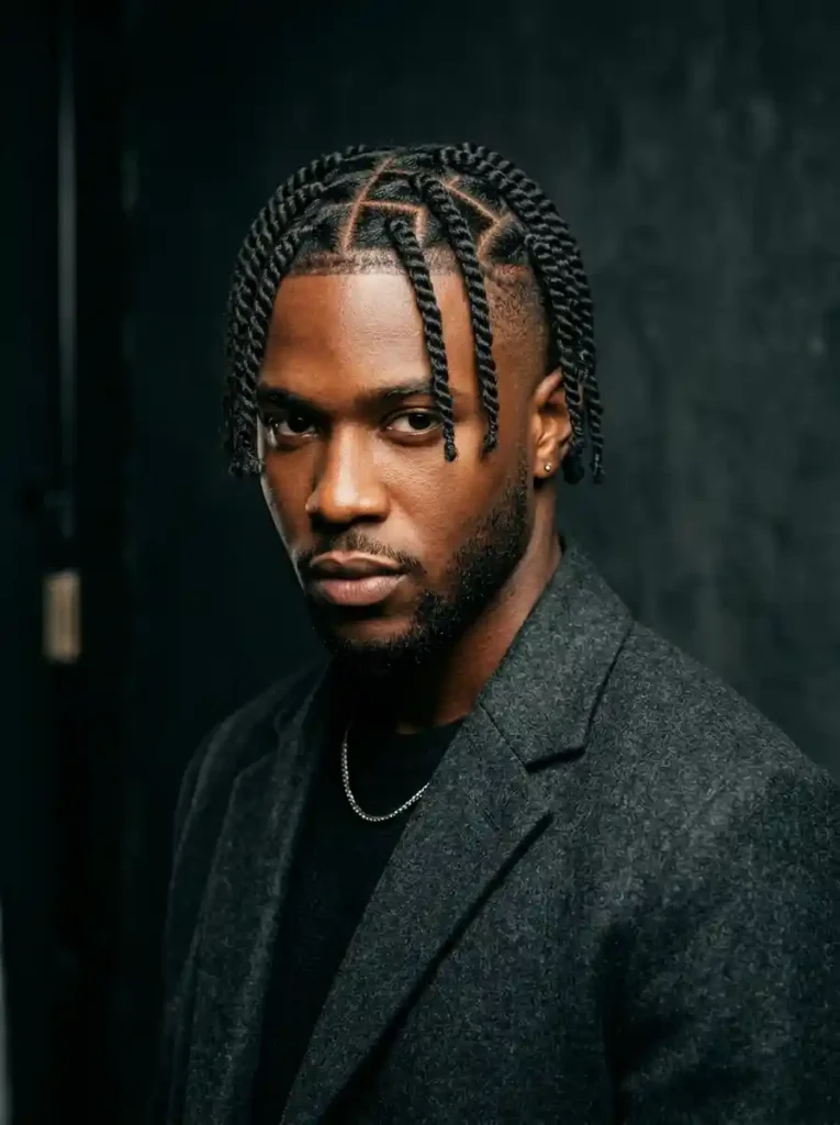 21 Twist Hairstyles for Men That Instantly Upgrade Your Style 9 Box Twists with Undercut for Cultural Modern Individual